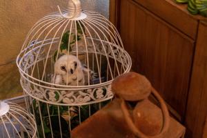 基西米Stay at Hogwarts Harry Potter's Home, Free Parking, Pets Allowed的一只白狗坐在鸟笼里