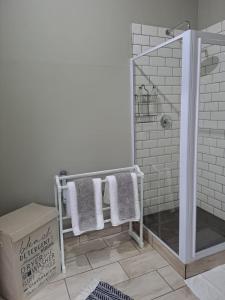 斯韦伦丹Happy Daze (Self catering)的带淋浴、毛巾和盒子的浴室