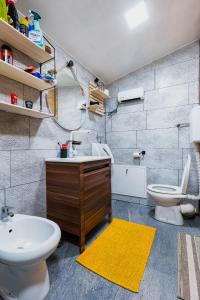 莫克拉戈拉Brvnara Iverak的一间带水槽和卫生间的浴室