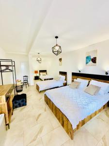 奥赫里德拉贾丁酒店的一间带两张床的卧室和一间客厅