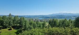 MizernaMizerna Cicha Noclegi Blisko Natury的享有湖泊和山脉小镇的空中景致
