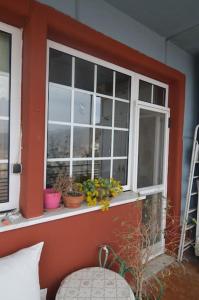 卡斯托里亚tania's view的窗户里放着盆栽植物,房间里放着椅子