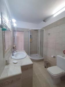 科洛皮奥Vaso' s Home的一间带水槽、卫生间和淋浴的浴室