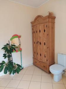 拉加希姆斯Saulesdarzs的一间带卫生间和木制橱柜的浴室