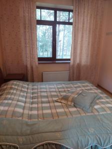 拉加希姆斯Saulesdarzs的卧室内的一张床位,带窗户