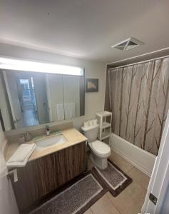 米西索加Modern Luxury 3 bed rooms House in Toronto Mississauga的一间带水槽、卫生间和镜子的浴室