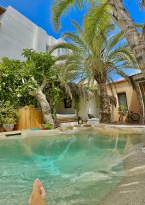 伊维萨镇Casa Klod Ibiza的躺在棕榈树游泳池里的人