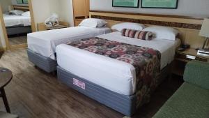 巴西利亚Lets Idea Hotel Flat Particular的酒店客房,配有两张床和椅子