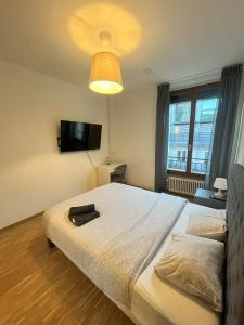 日内瓦Residence Geneva Quartier de Plainpalais的一间卧室设有一张大床和一个大窗户