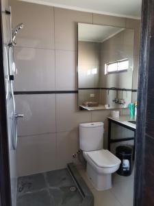 圣地亚哥Hostel Enea Homes的浴室设有卫生间和带镜子的淋浴