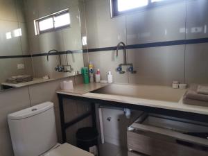 圣地亚哥Hostel Enea Homes的一间带水槽、卫生间和镜子的浴室