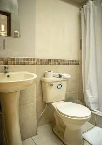 库斯科BEAUTIFUL, SPACIOUS & COZY HOUSE LOCATED IN THE HEART OF CUSCO的一间带卫生间和水槽的浴室