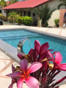 珍南海滩Dhania Cenang Beach Motel的游泳池旁一束粉红色花