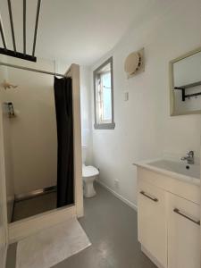 奥克兰Urban Kingsland Studio的带淋浴、盥洗盆和卫生间的浴室