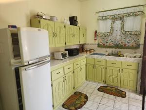The LimeSun Lover's Apartments的厨房配有绿色橱柜和白色冰箱