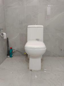 帕西加特Tsering's Homestay Oyan的一间位于客房内的白色卫生间的浴室