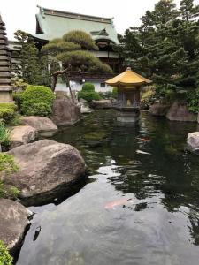 东京Itabashi Hotel Hilltop的花园内有一个池塘,里面装有宝塔
