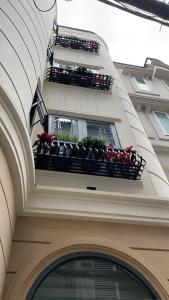 胡志明市Home in Ho Chi Minh City, D1的一座建筑,设有两个阳台,上面有盆栽植物