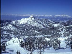 山之内町奇多伊科温泉酒店的一座白雪覆盖的山,有树木和滑雪场