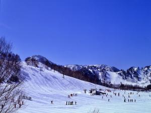 山之内町奇多伊科温泉酒店的一群人沿着雪覆盖的斜坡滑雪