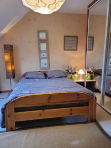 卢瓦尔河畔米德La petite parenthèse的一间卧室配有一张木床和大镜子