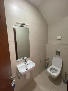阿克拉Ultramodern 2 bedroom space Available的一间带水槽和卫生间的浴室