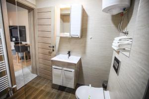 亚霍里纳Apartments and rooms Max-Well的一间带水槽、卫生间和镜子的浴室