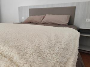 莱西纳Casa lago di lesina的卧室床上的白色毯子