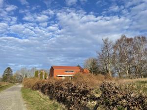 洛默Modernes Architektenhaus direkt am Golfplatz Schloss Ranzow.的土路旁的房子