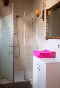 谢尔河畔努瓦耶La Noisetiere的浴室设有淋浴,在柜台上配有粉红色毛巾