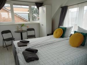 赞德沃特希尔膳食旅店的一间卧室配有一张大床,提供黄色和绿色的枕头