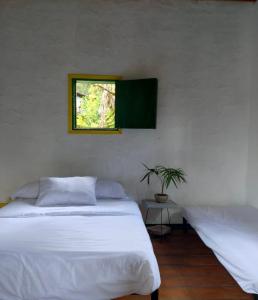 PijaoBOSQUE DE NIEBLA的一间卧室设有两张白色的床和窗户
