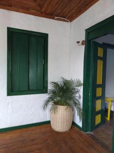 PijaoBOSQUE DE NIEBLA的绿门旁边的房间里种植的植物