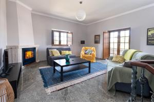雷镇Quinta da Palhota的带沙发和壁炉的客厅