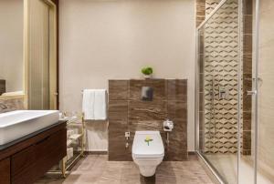 伊斯坦布尔Elite World Grand Istanbul Basın Ekspres的一间带卫生间和淋浴的浴室