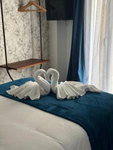 昆卡Ateneo Cuenca的两个天鹅坐在床上