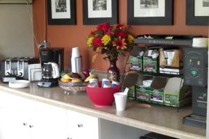 北斯托宁顿星尘汽车旅馆的厨房柜台配有咖啡壶和插花