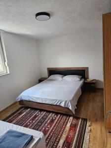 普里兹伦Skyland Apartment Prizren的一间卧室配有一张床和地毯