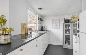 Jægerspris3 Bedroom Nice Home In Jgerspris的白色的厨房配有水槽和冰箱
