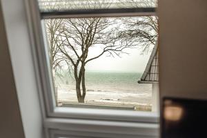 蒂门多弗施特兰德Beach House Penthousewohnung Düne的享有树木和海洋景致的窗户