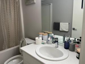 温尼伯Private Basement Suite with comfort的一间带水槽、卫生间和镜子的浴室