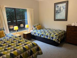 陶波Acacia Views - Acacia Bay Holiday Home的一间卧室设有两张床和窗户。