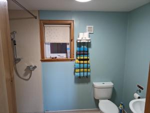 布里村Tangles & Kelpie的一间带卫生间、窗户和水槽的浴室