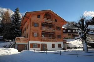 翁根Chalet Alpina Gyger的雪中一座大型木制建筑