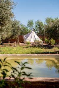 马拉喀什La Ferme des Tipis Marrakech的池塘旁的白色帐篷