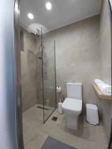 普莱诺斯Boomerang Sea View Accommodation and Studios的一间带卫生间和玻璃淋浴间的浴室