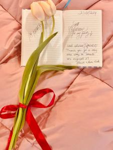 泰尔莫利FUTURA ROOM&RELAX的红丝带和便条的白色郁金香花束