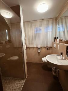穆赫Gasthaus Lindenhof的一间带水槽、卫生间和淋浴的浴室