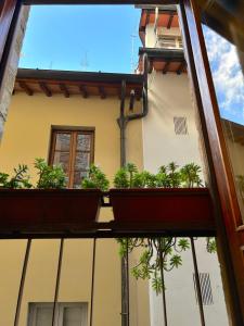 佛罗伦萨圭恰迪尼24号住宿加早餐旅馆的享有带盆栽植物的建筑的窗户