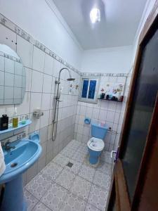 杜阿拉Mini villa cosy et discrete的浴室设有蓝色的卫生间和水槽。
